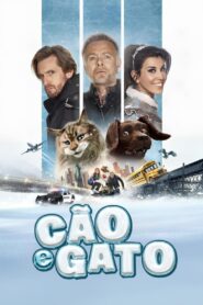 Cão E Gato 2024