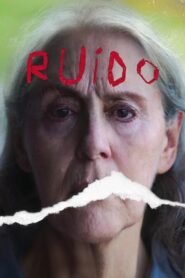 Ruido 2022